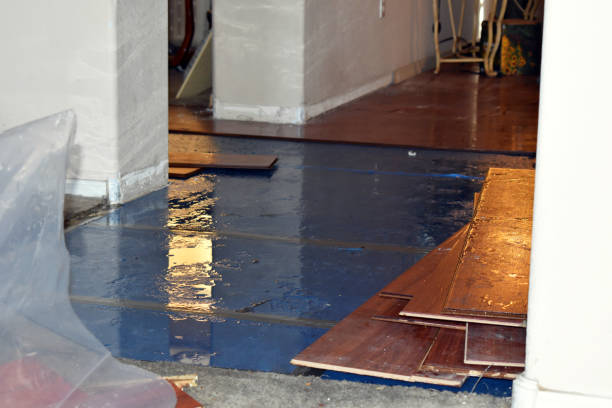 Professional Sewage Cleanup technician working in Rossville, KS