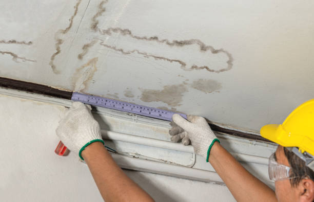 Reliable Sewage Cleanup contractor in Rossville, KS by Water Damage Irwin